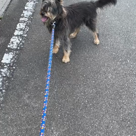 帰りたくないの画像