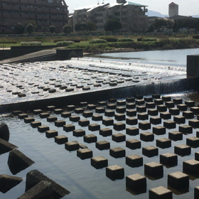 室見川の堰の画像