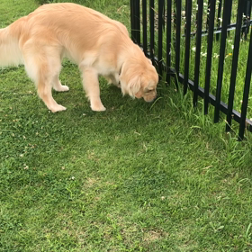 日常生活。の画像