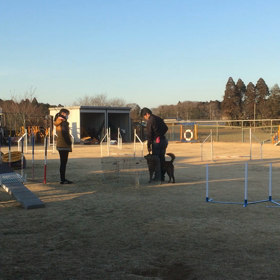 1/19 15:00 ピーナッツフィールドの画像