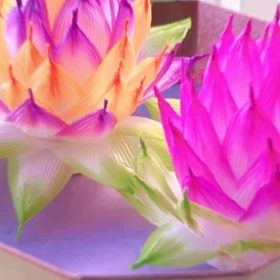 暑い日で幸せ^ ^の画像