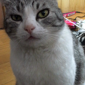 ねむりから覚めた、きゅんちゃん❣の画像