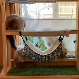 大切な今日　”6/16 普通の今日が特別であること”の画像