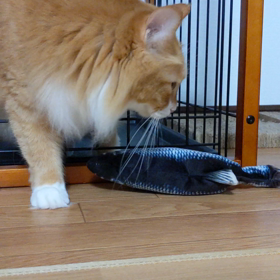 ママ、これはにゃに？の画像