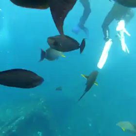 ダイビングポイント沈没船へ(トゥランベン)の画像