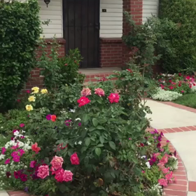 August 4, 2017の画像