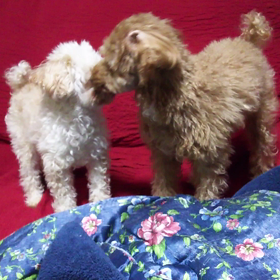 あそぼー➰❤の画像