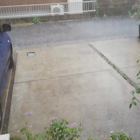 夏！！雷爆泣き。の画像