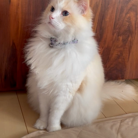 同意書記入に新しい病院への画像