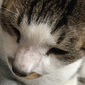 ヒーリング音楽の画像