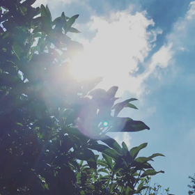 医療ドラマにハマリ中〜の画像