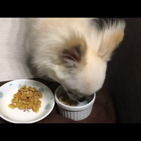 脳腫瘍といわれて：余命宣告から1年10ヶ月 ④　食べ方にバリエーションをの画像