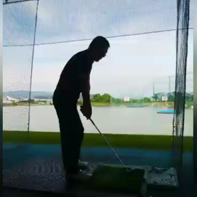 今日はゴロゴロの画像