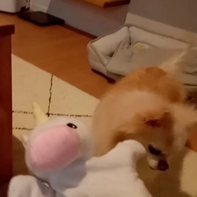 かわいい戦い。、の画像