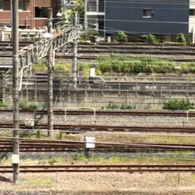 サフィール踊り子！！の画像