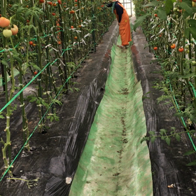 猪名川農業女子PJの画像