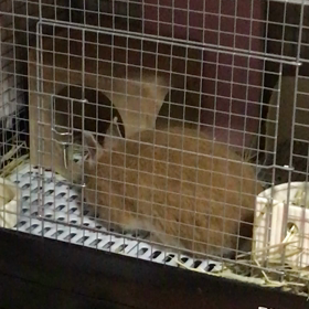 JUMPｸﾝナイスショットありがとうの画像