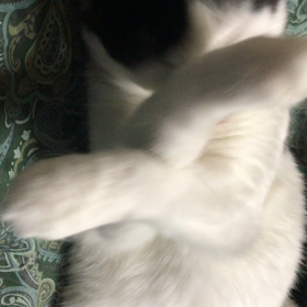 ごくらくの画像