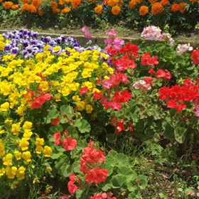 手づくり市の画像