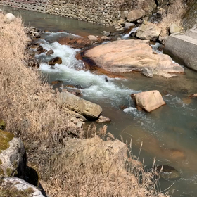 散歩………の話し。の画像