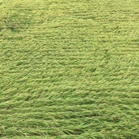 風が凄い！の画像