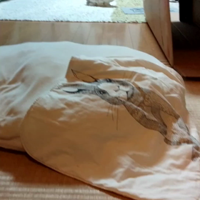 とことことこ〜の画像