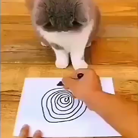 ★落ち込んだ私に…★の画像