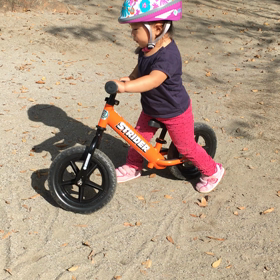 ストライダー★の画像