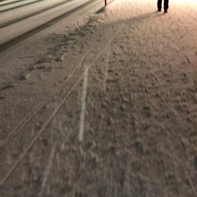 窮屈な毎日の中で・・・の画像