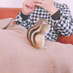 ちょことパパの休日♪の画像