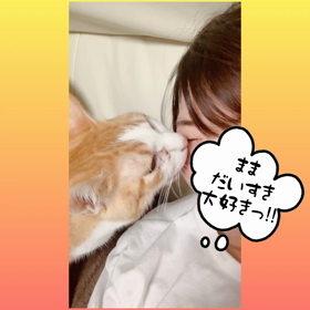 -在宅ワーク中のひとコマ-の画像