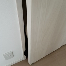 いたずらの画像
