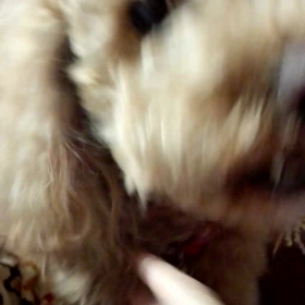 風邪かと思ったら…の画像