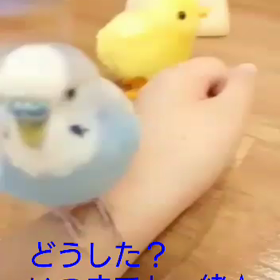 『ありがとう』ってお辞儀してるみたい❤️の画像