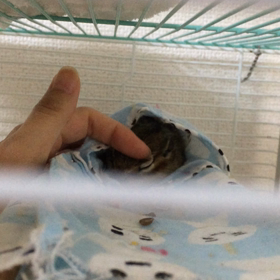 ママの特権の画像