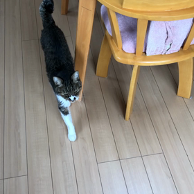 【ご支援物資ありがとうございます】の画像