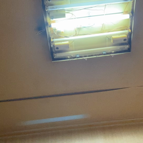 甲子園ばり？の画像