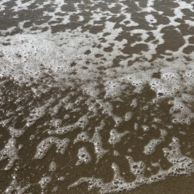 メルマガ合宿なう！の画像