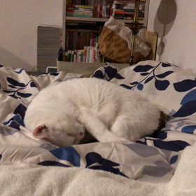 オレは　おとに　びんかんの画像