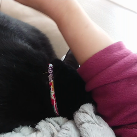 寝起きからの撫で撫で。の画像