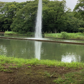 代々木公園の噴水の画像