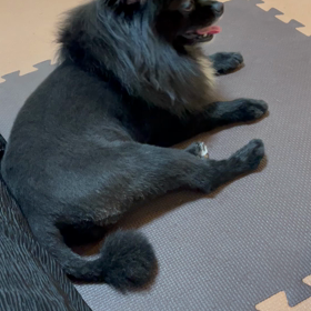 2021年10月13日　ルナも増？の画像