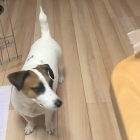 物申す 。の画像