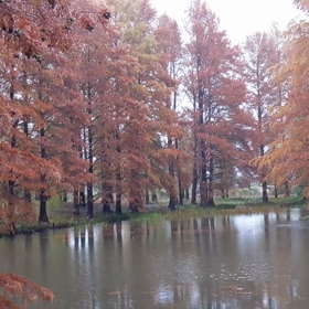 ビデオ撮影会の画像