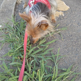 ご無沙汰してます(^_^;)の画像