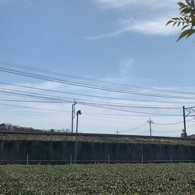 スロー動画？！の画像