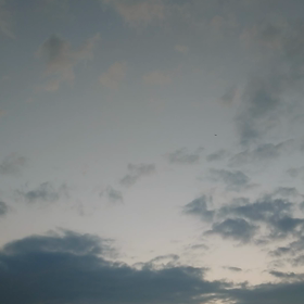 幸せなり〜♡の画像