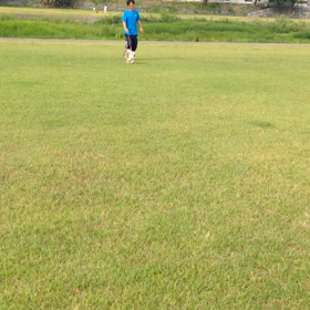 苦手な…お散歩…(｡-_-｡)の画像