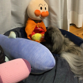 アンパンマン、ポツーン…の画像