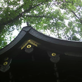 京都にて、真琴の画像